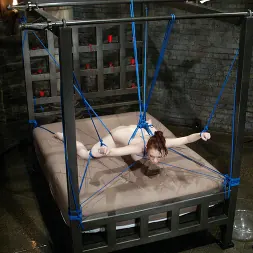 Justine Joli in 'Kink' and DragonLily (Thumbnail 13)