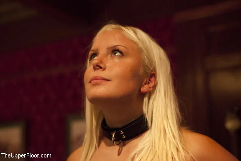 Kink 'Freshmeatレビュー：カイトスノーのプレゼンテーション' 主演 Kait Snow (写真 11)