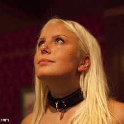 Kait Snow に 'Kink' Freshmeatレビュー：カイトスノーのプレゼンテーション (サムネイル 11)
