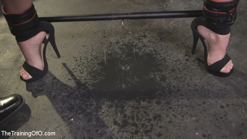 Karlee Grey en 'Karlee Grey, mendigando en cautiverio' from 'Kink' (foto 6) Kink 'Karlee Grey, mendigando en cautiverio' protagonizando Karlee Grey (foto 6)