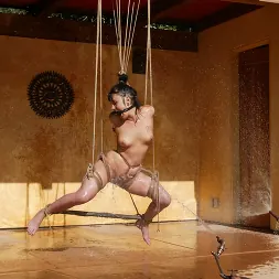 Karma en 'Kink' Karma (Miniatura 7)