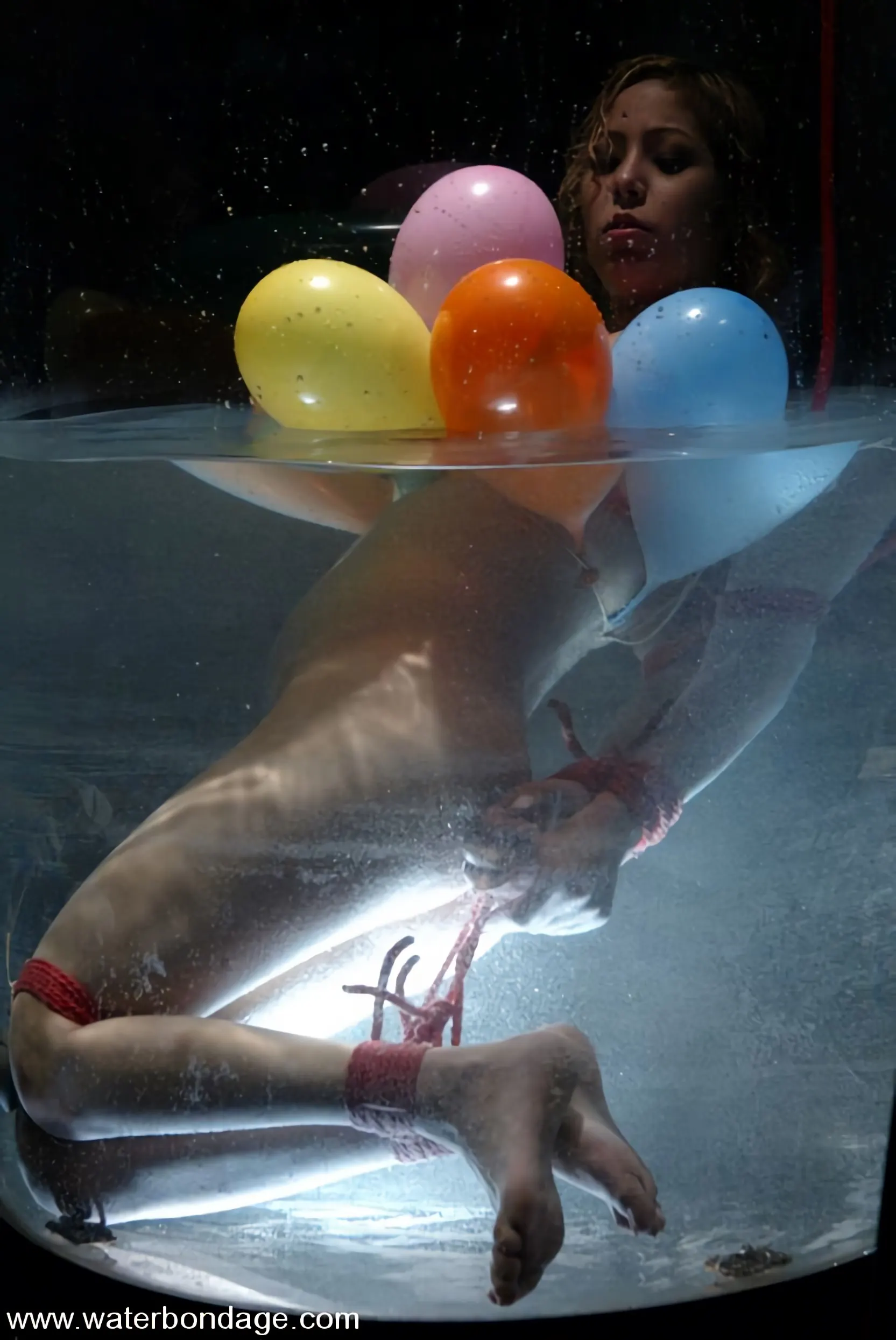 Kink 'キャット' 主演 キャット (写真 13)