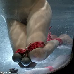 キャット に キャット (写真 14) キャット に 'Kink' キャット (サムネイル 14)