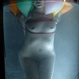 キャット に 'Kink' キャット (サムネイル 15)