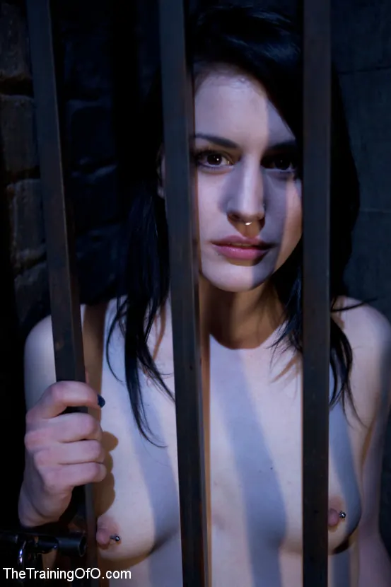 Katharine Cane に 'キャサリン・ケインの奴隷訓練第1日目' from 'Kink' (写真 2) Kink 'キャサリン・ケインの奴隷訓練第1日目' 主演 Katharine Cane (写真 2)