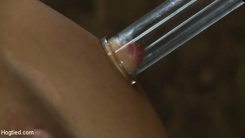 Katie Jordin en 'Tortura de pezones, brutal cuerda de entrepierna y esclavitud extrema ¡La chica de al lado es abusada y obligada a correrse!' from 'Kink' (foto 9) Kink 'Tortura de pezones, brutal cuerda de entrepierna y esclavitud extrema ¡La chica de al lado es abusada y obligada a correrse!' protagonizando Katie Jordin (foto 9)