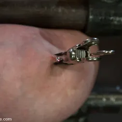 Katie Kox en 'Kink' Thanks for the mammaries. (Miniatura 12)