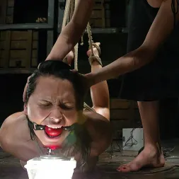 Katja Kassin in 'Kink' and Princess Donna Dolore (Thumbnail 13)