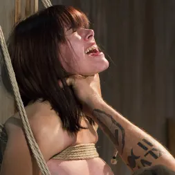 Katt Anomia に 改善の兆し (写真 7) Katt Anomia に 'Kink' 改善の兆し (サムネイル 7)