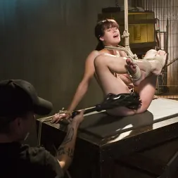 Katt Anomia に 改善の兆し (写真 17) Katt Anomia に 'Kink' 改善の兆し (サムネイル 17)