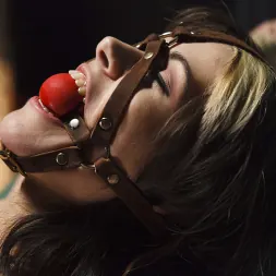 Katt Anomia に 'Kink' 取られ、結ばれ、拷問された (サムネイル 15)