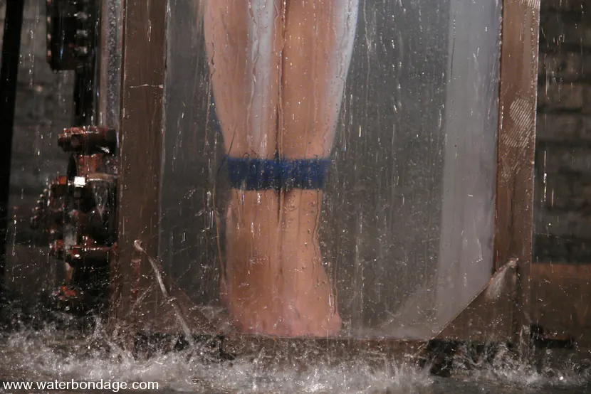 Kink 'Delilah Strong and Keeani Lei Livefeed Part 2' starring Keeani Lei (Photo 9)