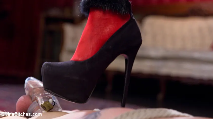 Kelli Provocateur in 'Hot Muscular Domme Annihilates Wimpy Man Servant!' from 'Kink' (Photo 15) Kink 'Hot Muscular Domme Annihilates Wimpy Man Servant!' starring Kelli Provocateur (Photo 15)