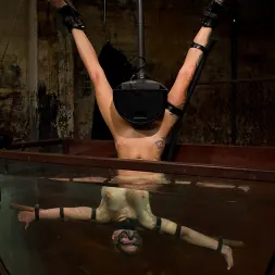 Kiki Koi in 'Kink' 6 girl massive orgy from hell The losers are getting fucked, fisted, made to squirt and humiliated! (Thumbnail 8)