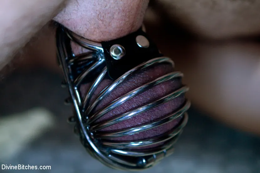 Kink 'カッコウッドコメディ' 主演 Kimberly Kane (写真 3)