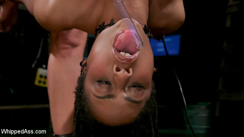 Kink 'ハッキングされた資産：Ryan Keely Blackmails Kinky Lesbian Sex' 主演 Kira Noir (写真 9)