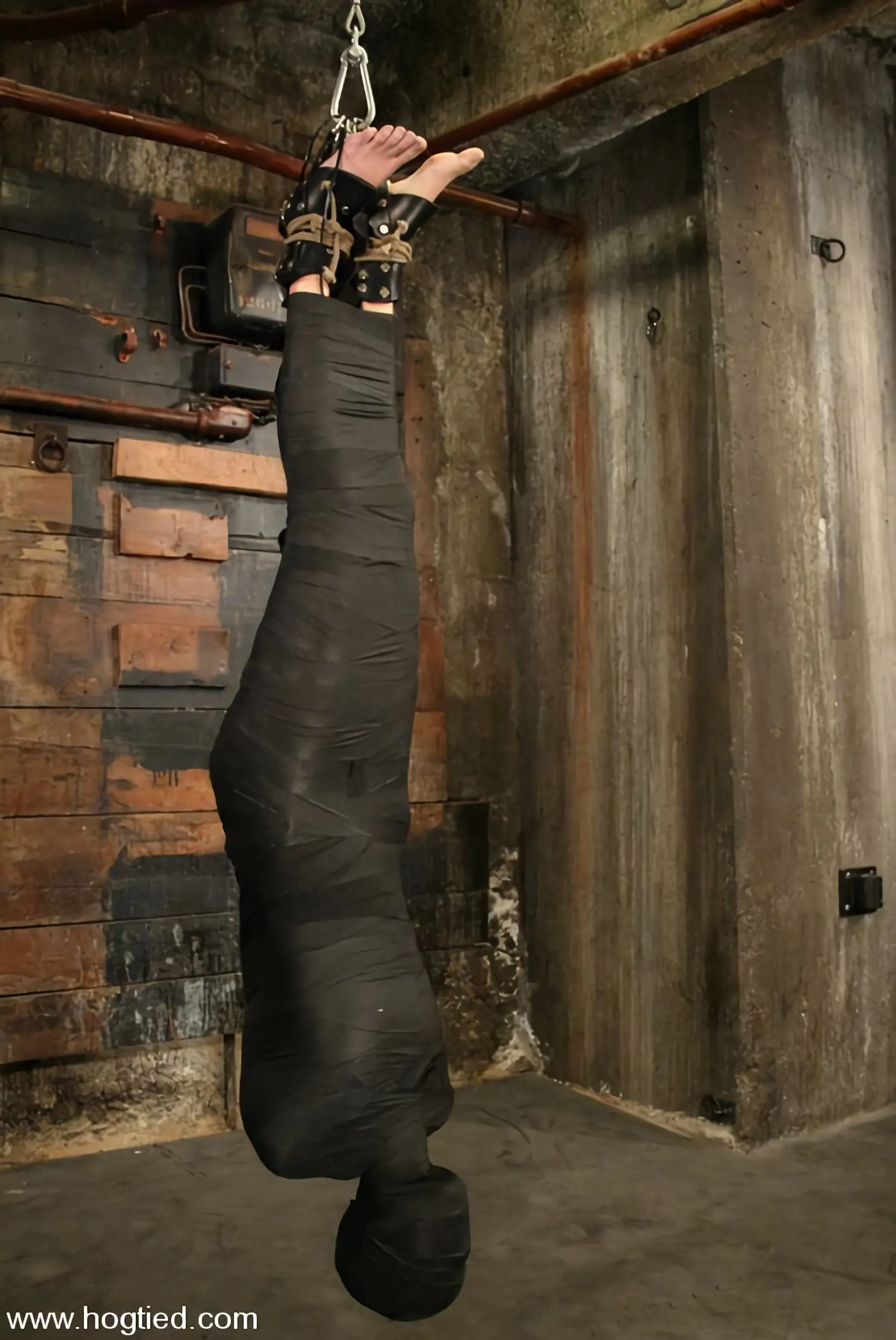 キティ・ヴィシャス に 'キティ・ヴィシャス' from 'Kink' (写真 15) Kink 'キティ・ヴィシャス' 主演 キティ・ヴィシャス (写真 15)