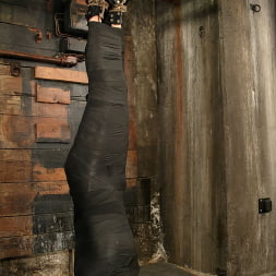 Kitti Vicious in Kitti Vicious (Photo 15) Kitti Vicious in 'Kink' Kitti Vicious (Thumbnail 15)