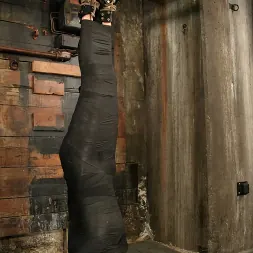 Kitti viciosa en 'Kink' Kitti viciosa (Miniatura 15)