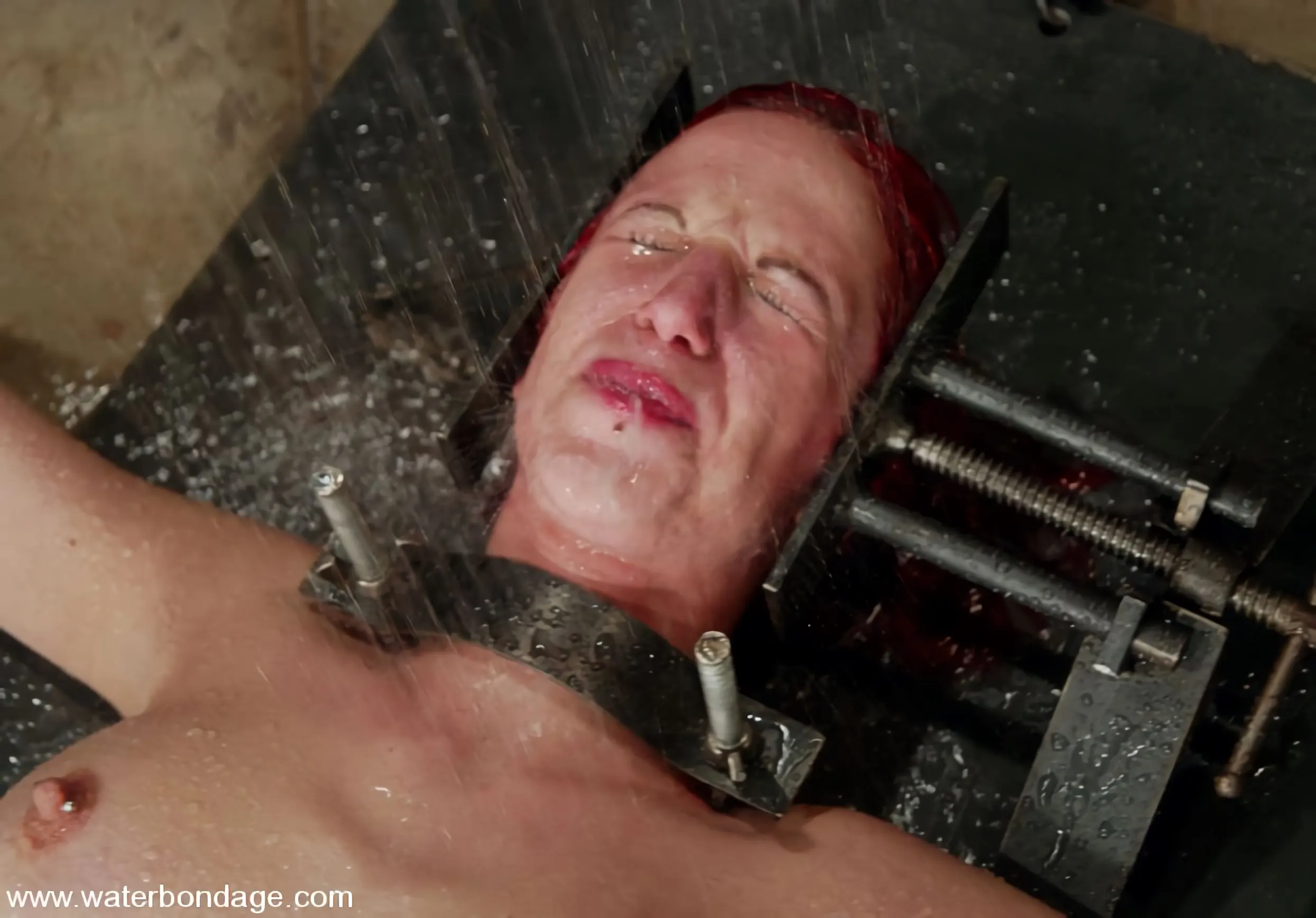 Kink 'コリー・ビクセン' 主演 コリー・ビクセン (写真 13)