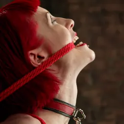 Kory Vixen in 'Kink' and Thane (Thumbnail 15)