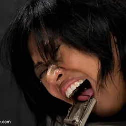 Krissie Dee in 'Kink' Punished by Sebastian Keys on DeviceBondage! (Thumbnail 3)