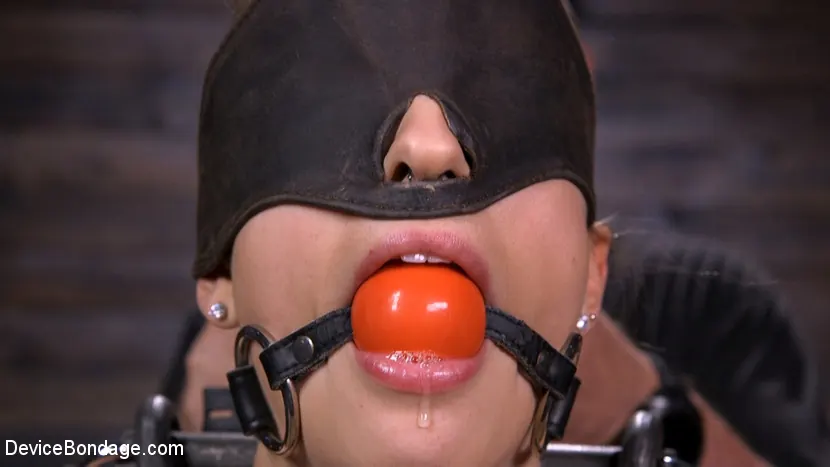 Kink '美と獣：クリステン・スコット対教皇' 主演 Kristen Scott (写真 7)