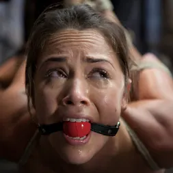 クリスティーナローズ に クリスティーナローズ (写真 2) クリスティーナローズ に 'Kink' クリスティーナローズ (サムネイル 2)