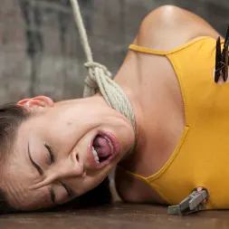 クリスティーナローズ に クリスティーナローズ (写真 16) クリスティーナローズ に 'Kink' クリスティーナローズ (サムネイル 16)