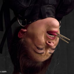 Kristina Rose に 'Kink' Captured and fucked in extreme bondage positions (サムネイル 9)