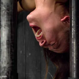 Kristina Rose en 'Kink' Captured and fucked in extreme bondage positions (Miniatura 14)