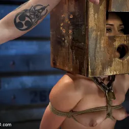 Kristina Rose en Entrenamiento de esclava de Kristina Rose, día 3 (foto 4) Kristina Rose en 'Kink' Entrenamiento de esclava de Kristina Rose, día 3 (Miniatura 4)