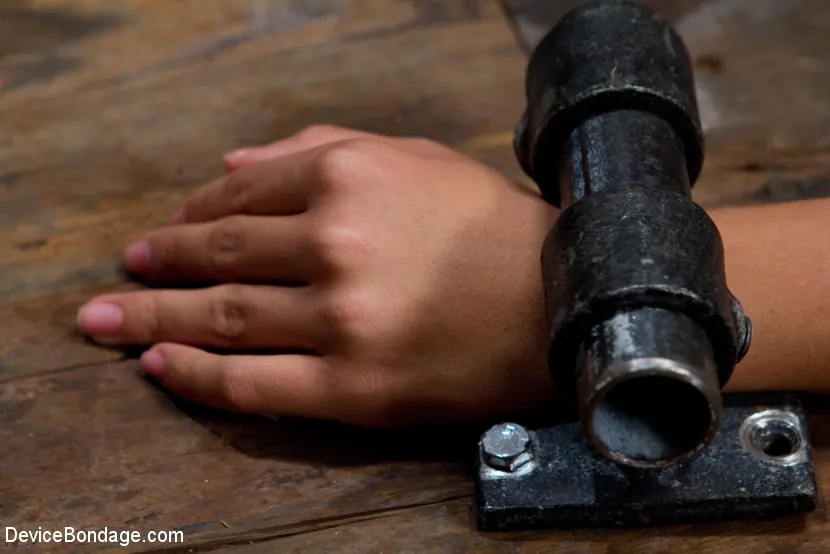 Kink 'El martinete más lindo' protagonizando Kristina Rose (foto 14)