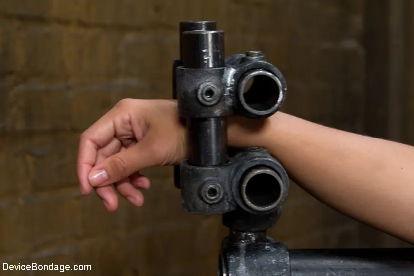 Kink 'Camiseta mojada y bondage duro' protagonizando Kristina Rose (foto 12)