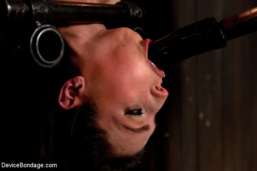 Kristine Kahill に 'Tomi Knox、ファックドールを襲撃クリスティン・カヒル、創造的なデバイスとサディズム' from 'Kink' (写真 16) Kink 'Tomi Knox、ファックドールを襲撃クリスティン・カヒル、創造的なデバイスとサディズム' 主演 Kristine Kahill (写真 16)