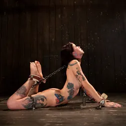 Krysta Kaos に 強烈なボンデージが重度の電気オルガスムを誘発する (写真 8) Krysta Kaos に 'Kink' 強烈なボンデージが重度の電気オルガスムを誘発する (サムネイル 8)