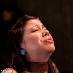 Krysta Kaos に 強烈なボンデージが重度の電気オルガスムを誘発する (写真 11) Krysta Kaos に 'Kink' 強烈なボンデージが重度の電気オルガスムを誘発する (サムネイル 11)