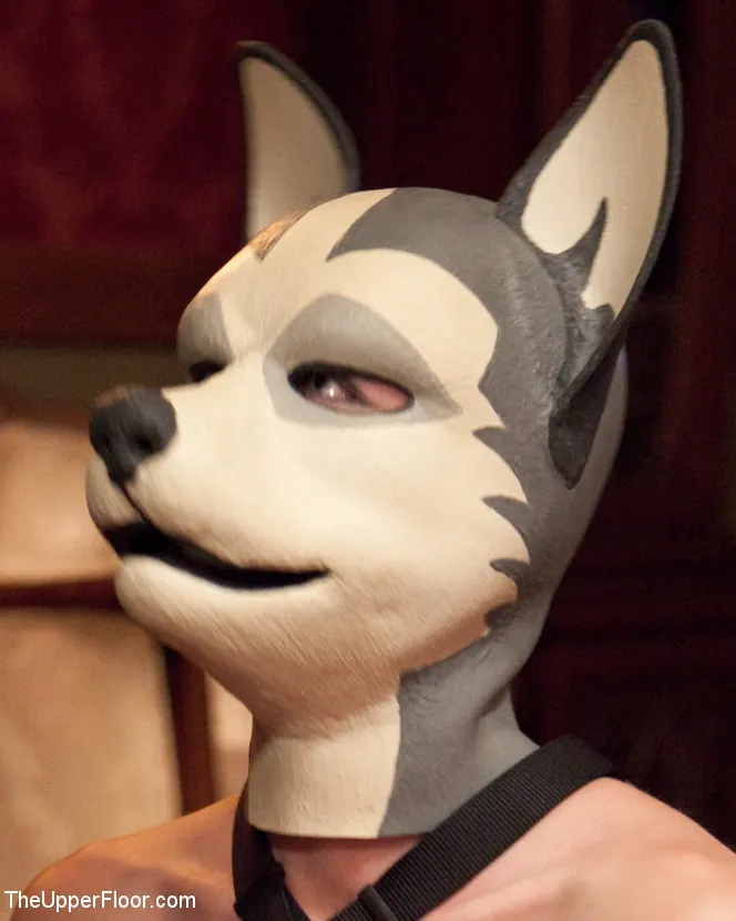 Kink 'ミンクスのパピーパーティー' 主演 Krysta Kaos (写真 1)