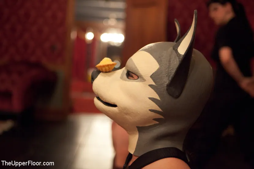 Kink 'ミンクスのパピーパーティー' 主演 Krysta Kaos (写真 17)