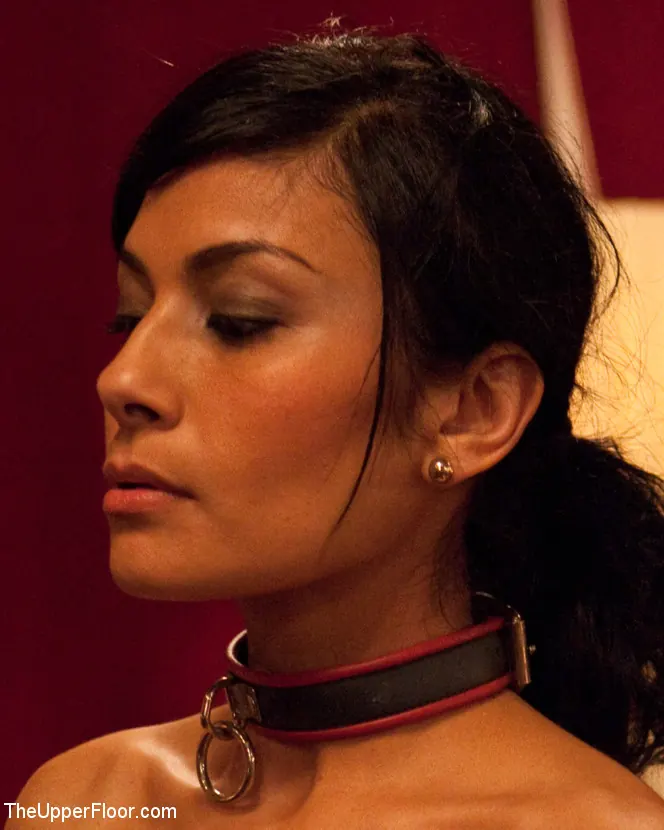 Kink 'Iniciación de esclavos: cerdito Parte 1' protagonizando Krysta Kaos (foto 13)