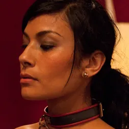 Krysta Kaos in 'Kink' Slave Initiation: piggy Part 2 (Thumbnail 13)