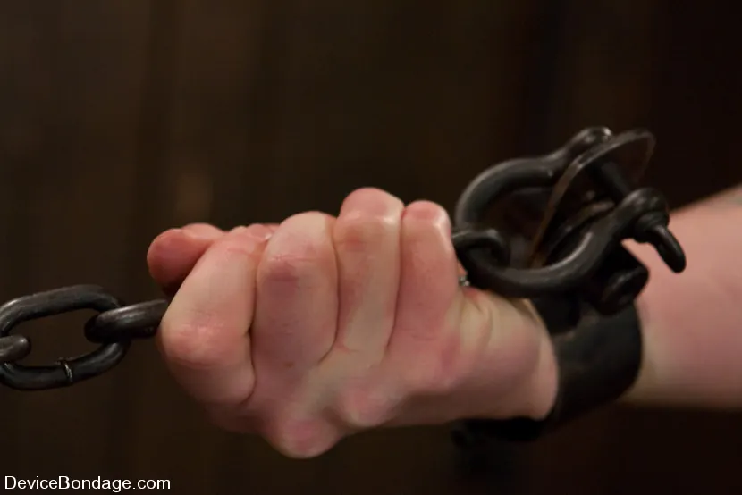 Kink 'Porn Legend suffering like everyone else.' 主演 Kylie Ireland (写真 9)