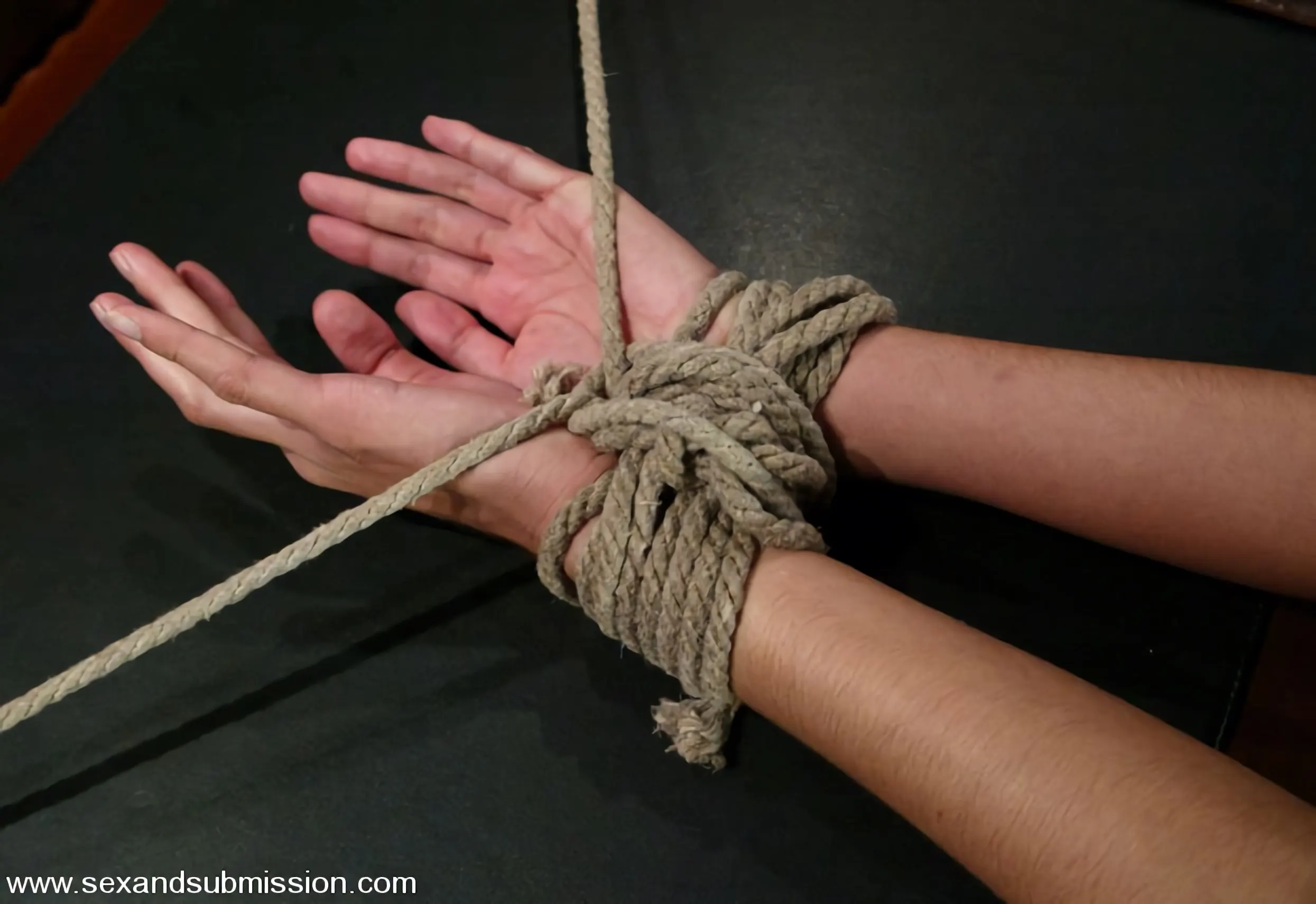 Kink 'and Veronica Stone' 主演 Lee Stone (写真 3)