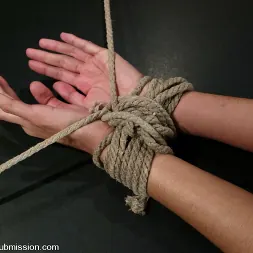 Lee Stone en 'Kink' and Veronica Stone (Miniatura 3)