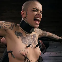 Leigh Raven in 'Kink' Alternative Pain Slut Leigh Raven Gets Whipped, Caned, and Clamped (Thumbnail 3)