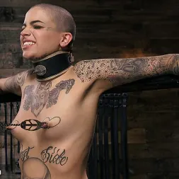 Leigh Raven in 'Kink' Alternative Pain Slut Leigh Raven Gets Whipped, Caned, and Clamped (Thumbnail 13)