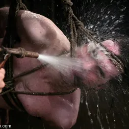 Lexi Bardot in 'Kink' Knox and Lexi Bardot (Thumbnail 10)