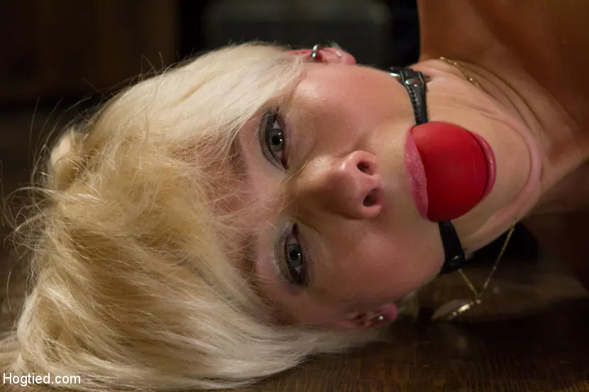 Kink 'Estudiante universitaria rubia atada fuerte y follada brutalmente' protagonizando Lexi LaRue (foto 15)