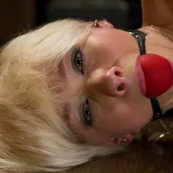 Lexi LaRue en Estudiante universitaria rubia atada fuerte y follada brutalmente (foto 15) Lexi LaRue en 'Kink' Estudiante universitaria rubia atada fuerte y follada brutalmente (Miniatura 15)