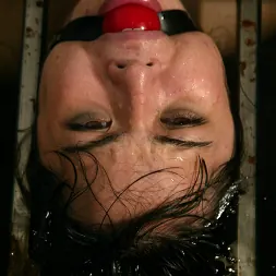 LieLani en 'Kink' ¡La encantadora Lielani se somete a la Armería! (Miniatura 6)